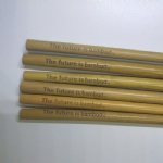 Biodegradable Yellow Bamboo Straws With Customized Logo